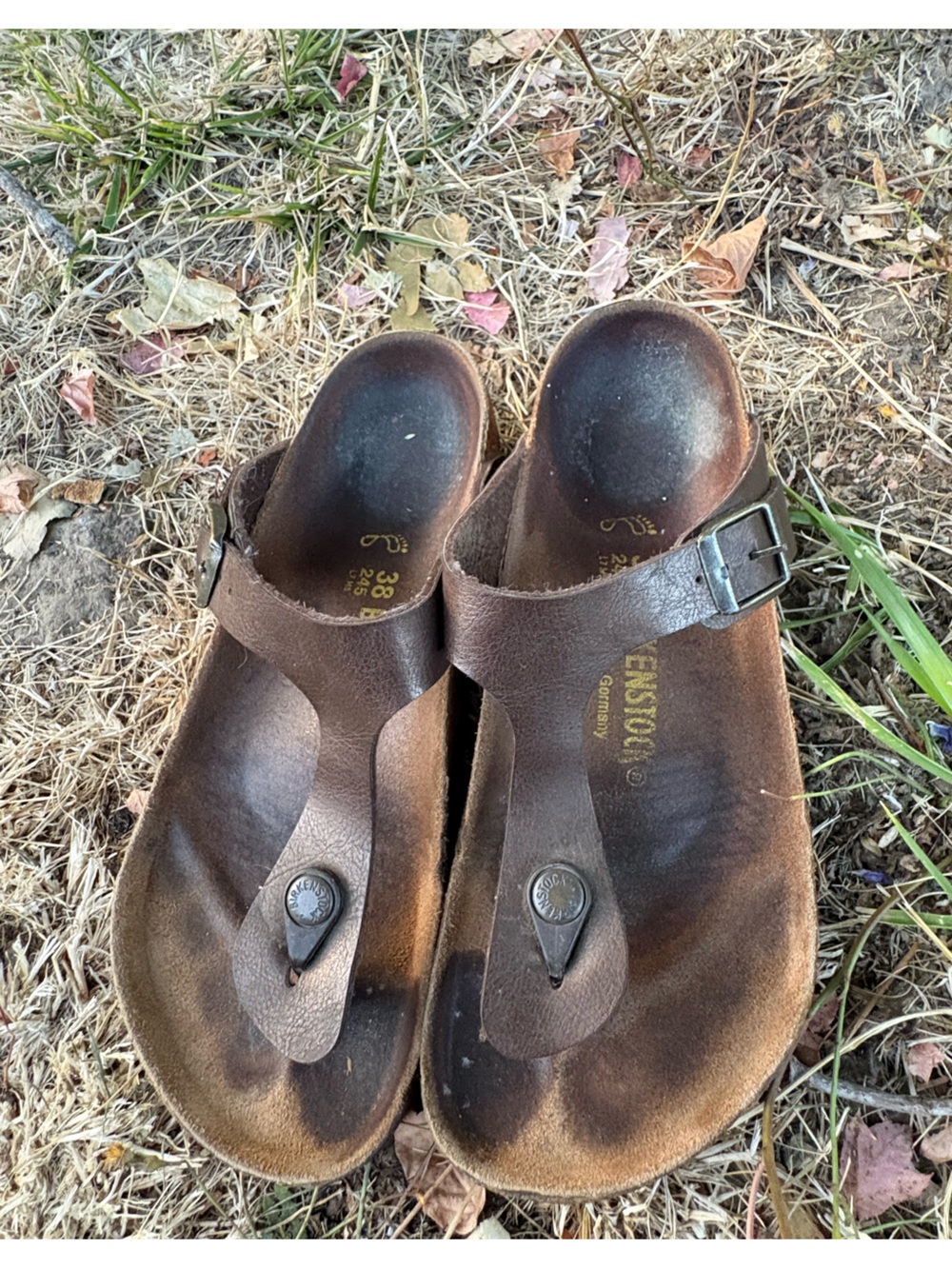 Birkenstock Brown Leather Toe-Post Sandals